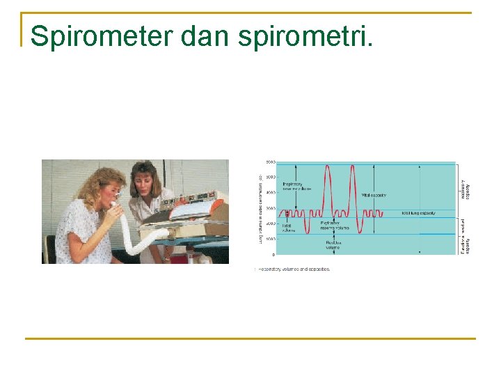 Spirometer dan spirometri. Spirometer dan spirometri.