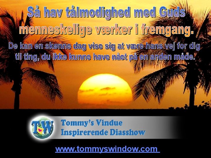 www. tommyswindow. com 