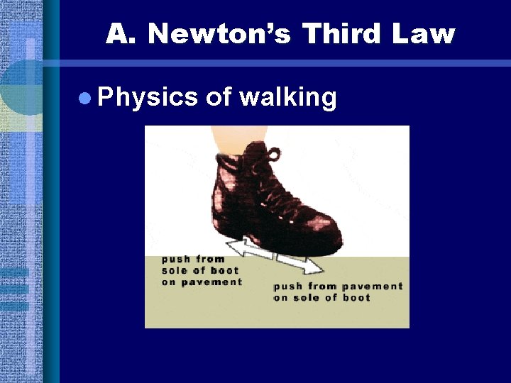 A. Newton’s Third Law l Physics of walking 