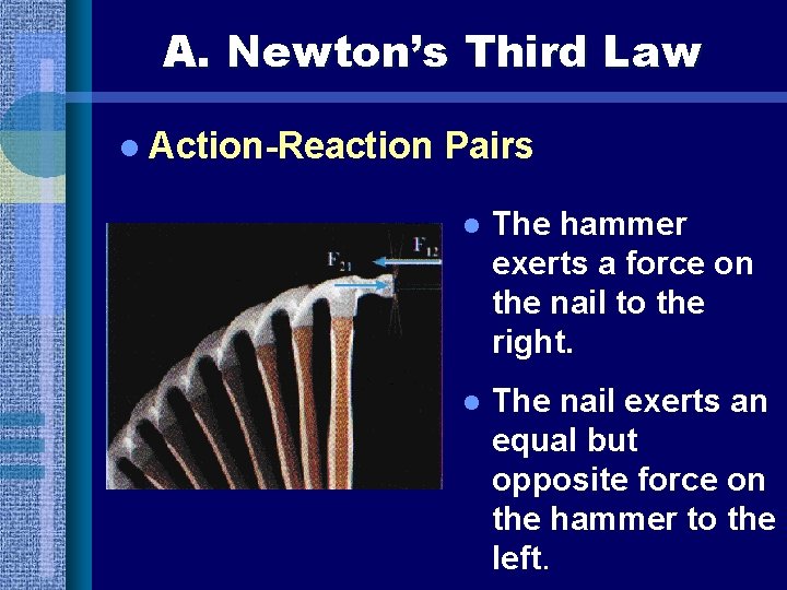 A. Newton’s Third Law l Action-Reaction Pairs l The hammer exerts a force on