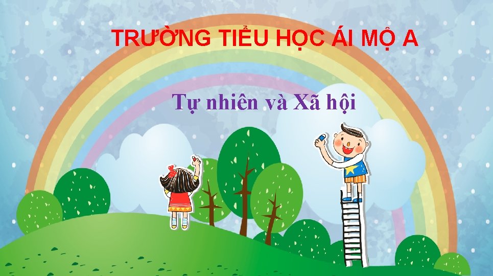 TRƯỜNG TIỂU HỌC ÁI MỘ A Tự nhiên và Xã hội 