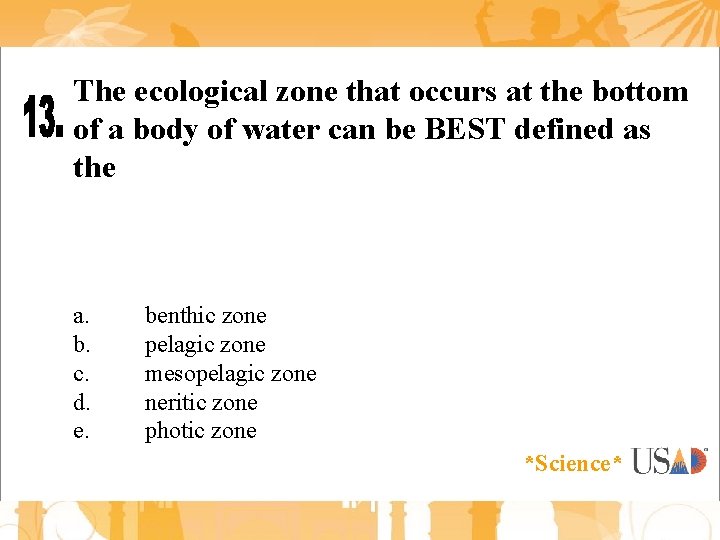 The ecological zone that occurs at the bottom of a body of water can