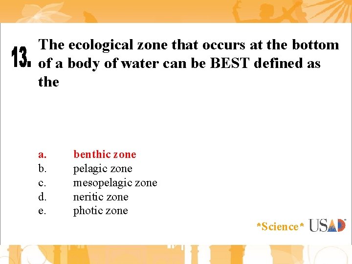 The ecological zone that occurs at the bottom of a body of water can