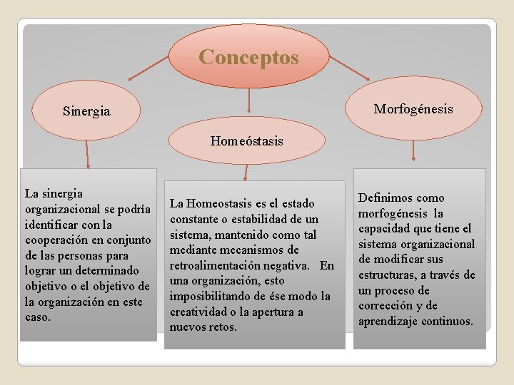 Conceptos Morfogénesis Sinergia Homeóstasis La sinergia organizacional se podría identificar con la cooperación en