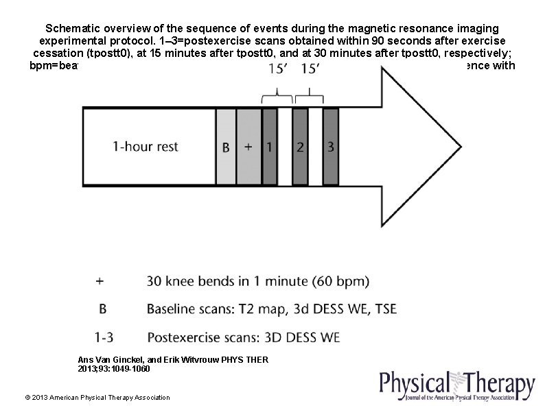Schematic overview of the sequence of events during the magnetic resonance imaging experimental protocol.