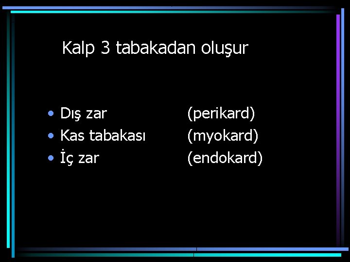 Kalp 3 tabakadan oluşur • Dış zar • Kas tabakası • İç zar (perikard)