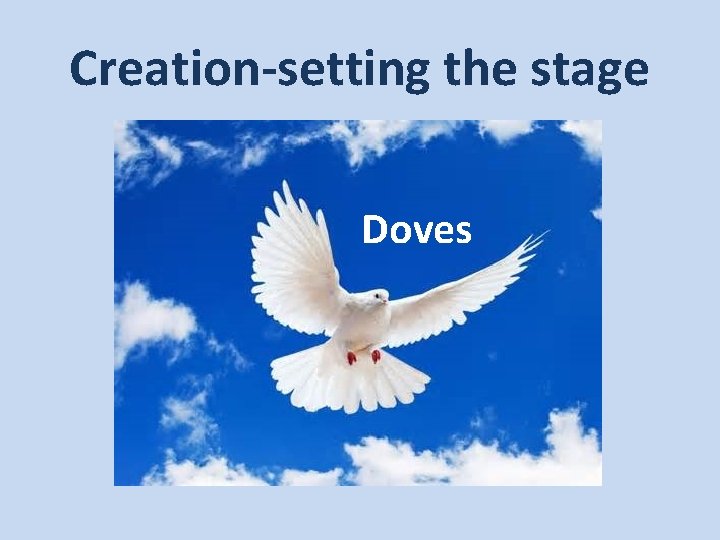 Creation-setting the stage Doves 