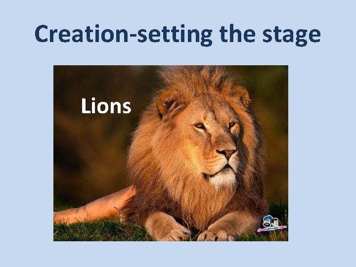 Creation-setting the stage Lions 