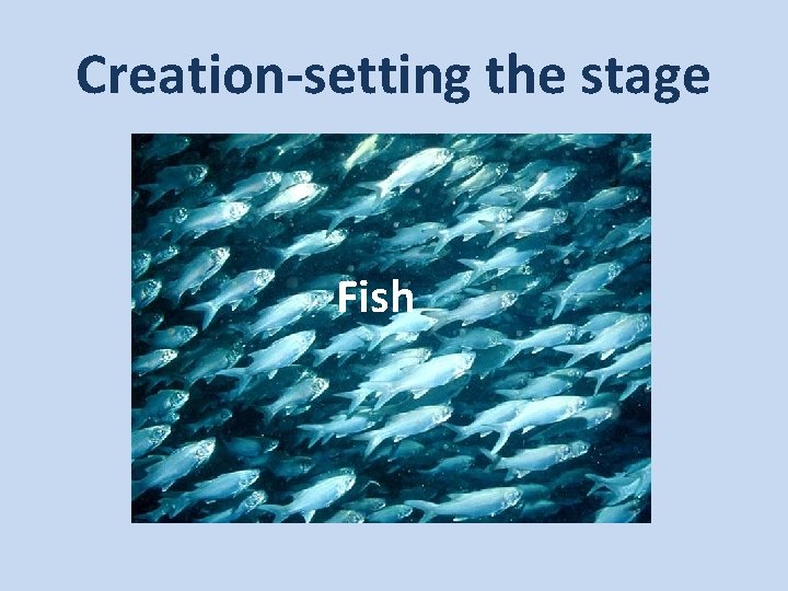 Creation-setting the stage Fish 