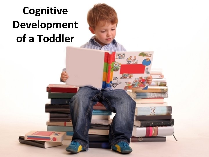 Cognitive Development of a Toddler 