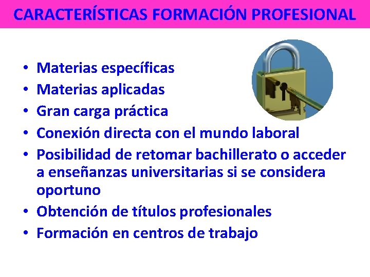 CARACTERÍSTICAS FORMACIÓN PROFESIONAL Materias específicas Materias aplicadas Gran carga práctica Conexión directa con el