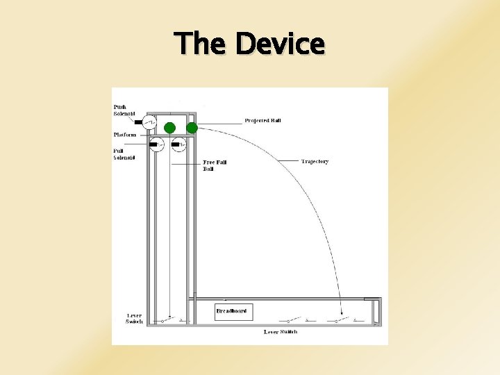 The Device 