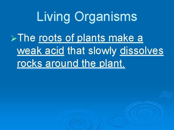 Living Organisms ØThe roots of plants make a weak acid that slowly dissolves rocks