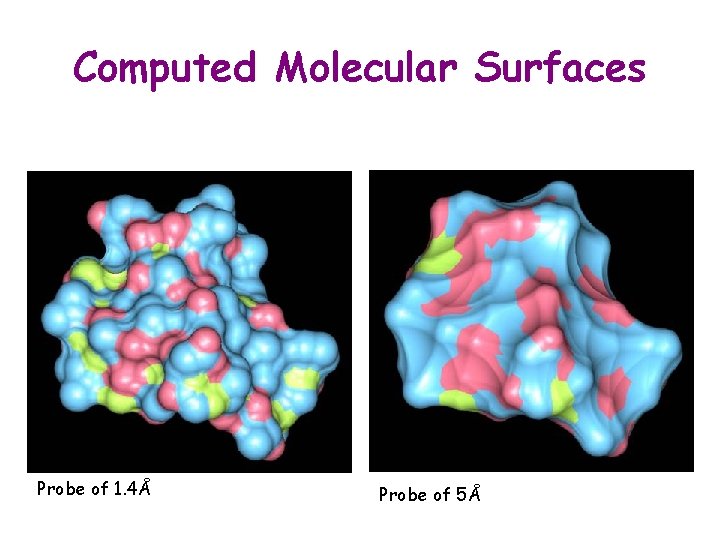 Computed Molecular Surfaces Probe of 1. 4Å Probe of 5Å 