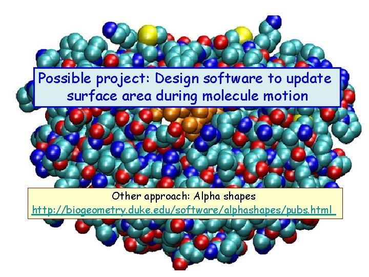 Possible project: Design software to update surface area during molecule motion Other approach: Alpha