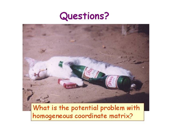 Questions? What is the potential problem with homogeneous coordinate matrix? 