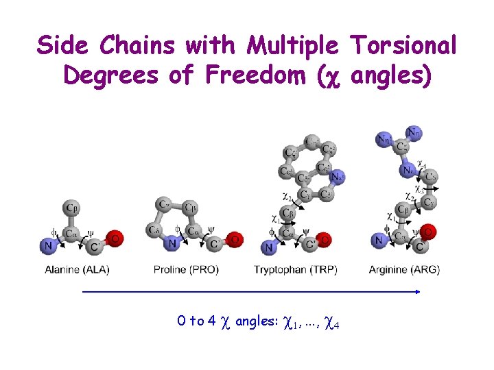 Side Chains with Multiple Torsional Degrees of Freedom (c angles) 0 to 4 c