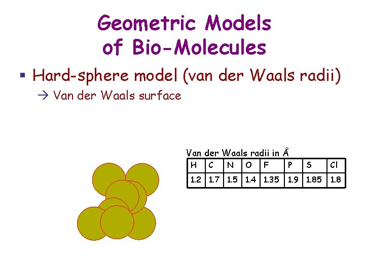 Geometric Models of Bio-Molecules § Hard-sphere model (van der Waals radii) Van der Waals