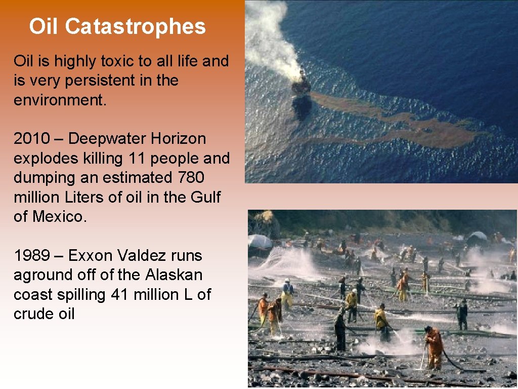 Oil Catastrophes Oil is highly toxic to all life and is very persistent in