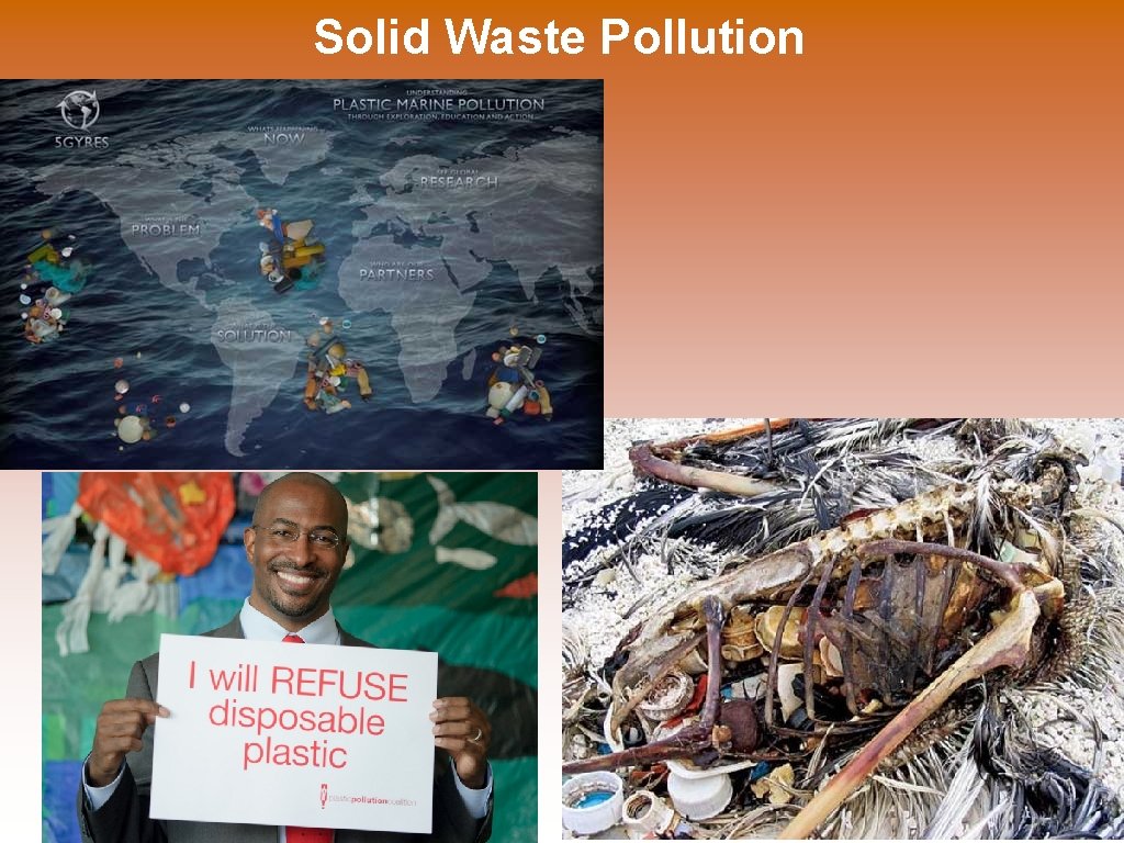 Solid Waste Pollution 