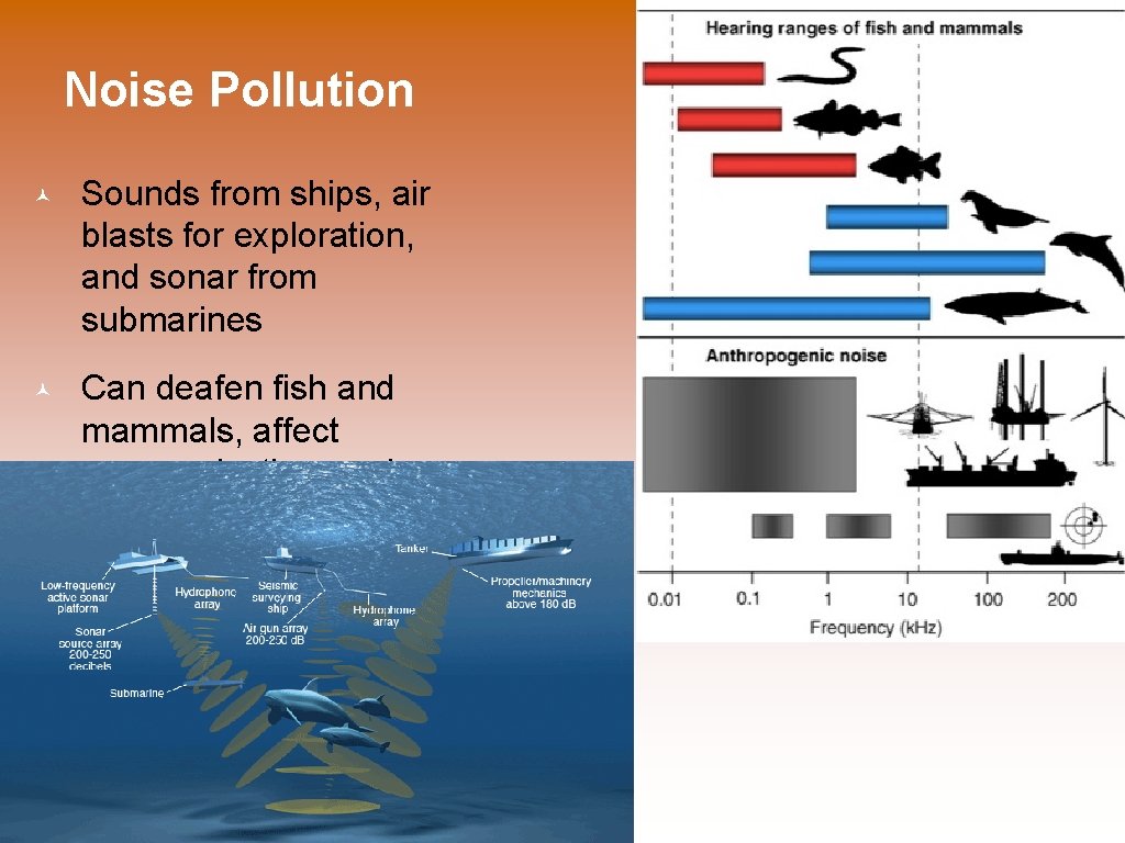 Noise Pollution © Sounds from ships, air blasts for exploration, and sonar from submarines