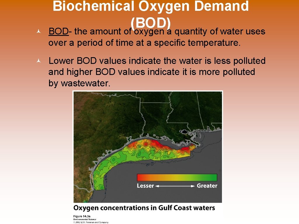 © Biochemical Oxygen Demand (BOD) BOD- the amount of oxygen a quantity of water