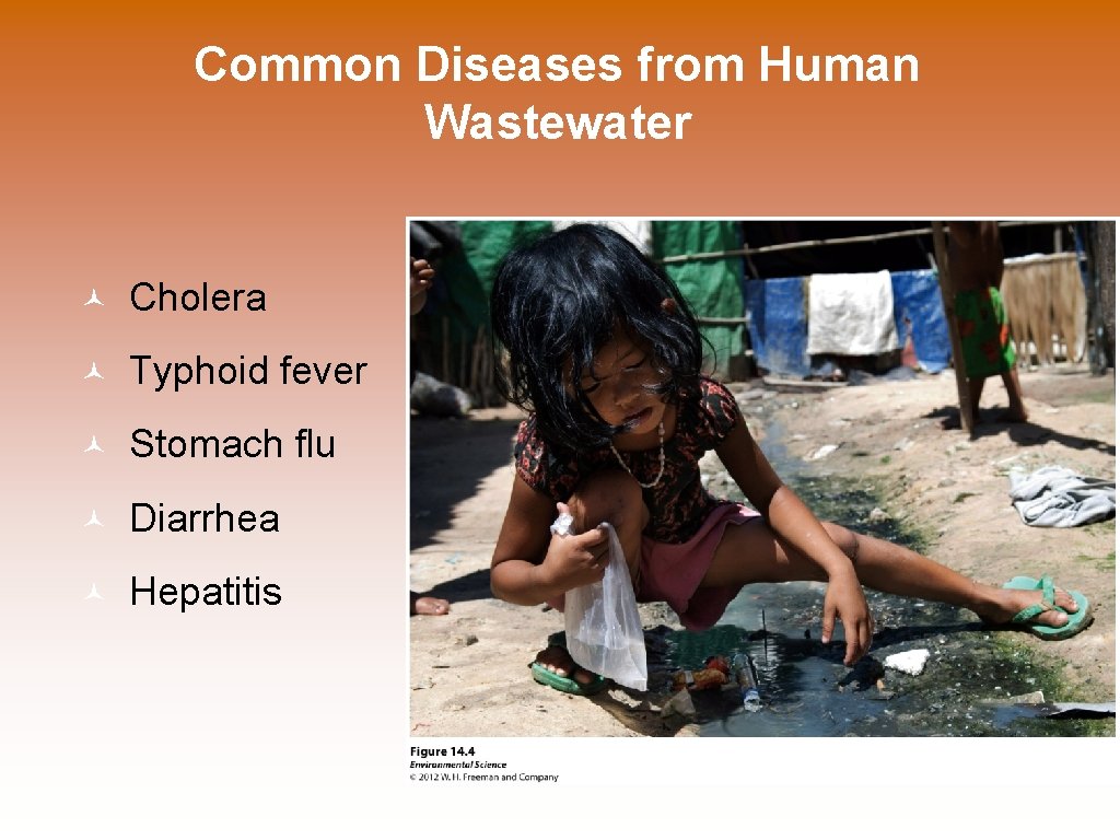 Common Diseases from Human Wastewater © Cholera © Typhoid fever © Stomach flu ©