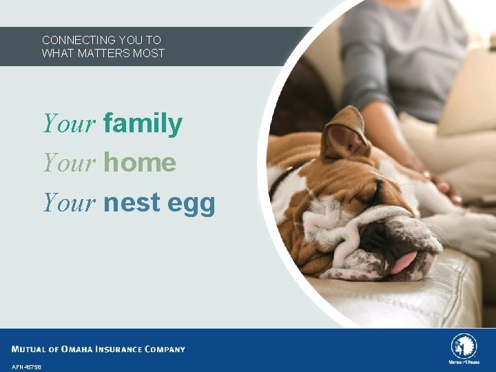 CONNECTING YOU TO WHAT MATTERS MOST Your family Your home Your nest egg AFN