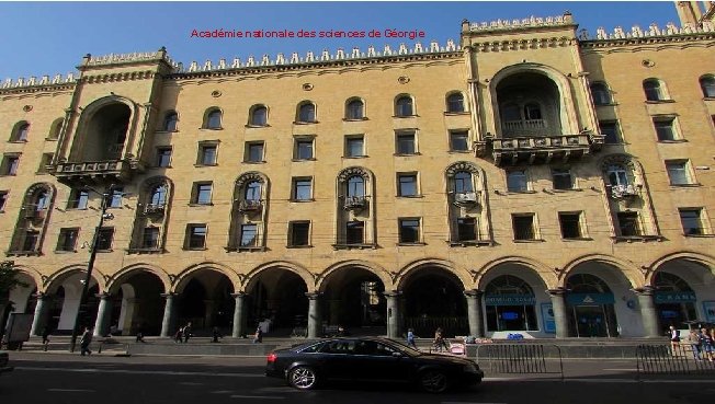 Académie nationale des sciences de Géorgie 