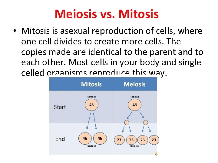 Meiosis vs. Mitosis • Mitosis is asexual reproduction of cells, where one cell divides
