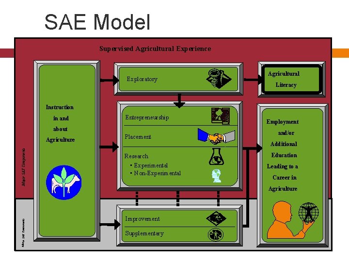 SAE Model Supervised Agricultural Experience Exploratory Agricultural Literacy Instruction in and Entrepreneurship about Minor