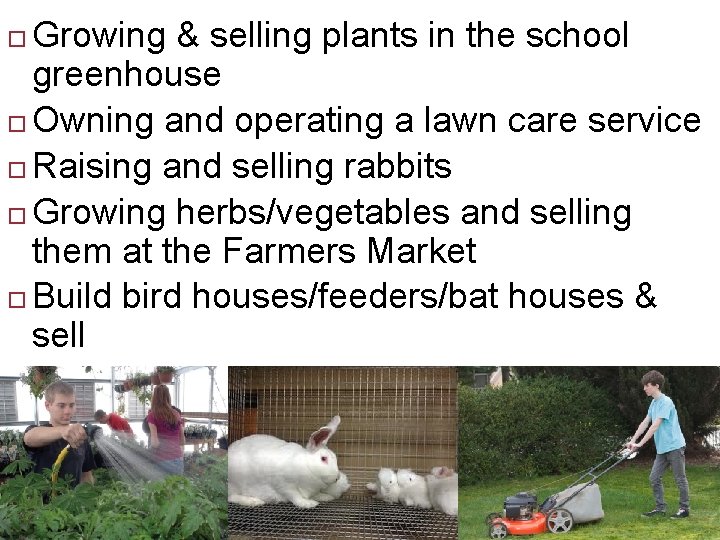 Growing & selling plants in the school greenhouse Owning and operating a lawn care