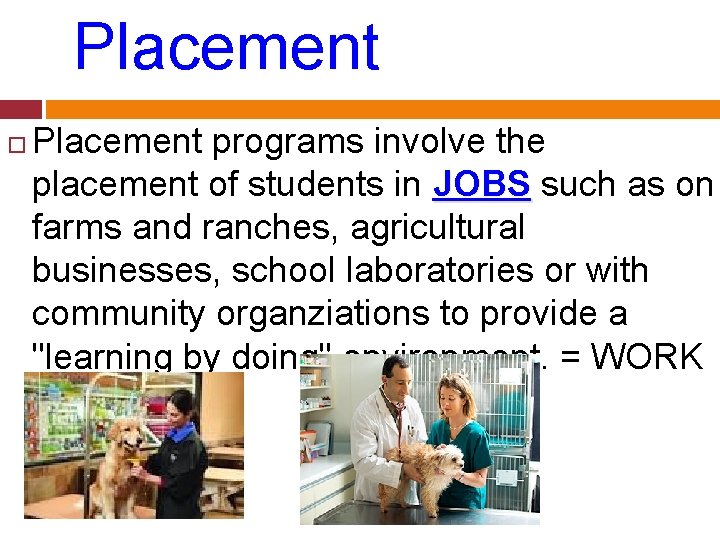 Placement programs involve the placement of students in JOBS such as on farms and