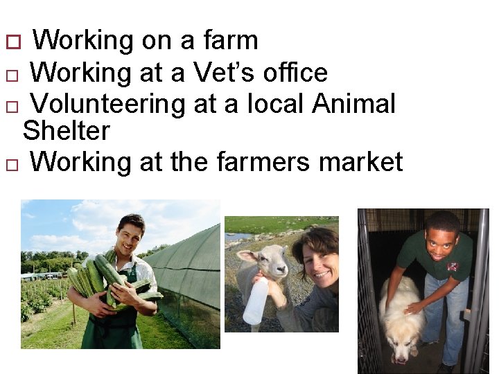 Working on a farm Working at a Vet’s office Volunteering at a local Animal