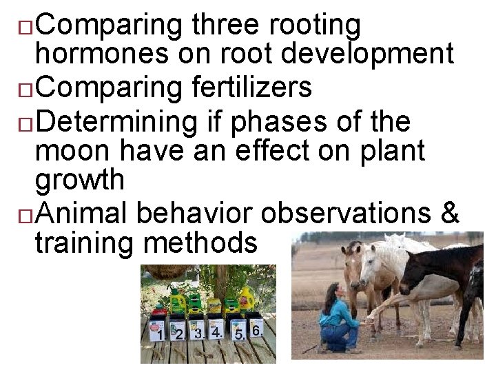 Comparing three rooting hormones on root development Comparing fertilizers Determining if phases of the