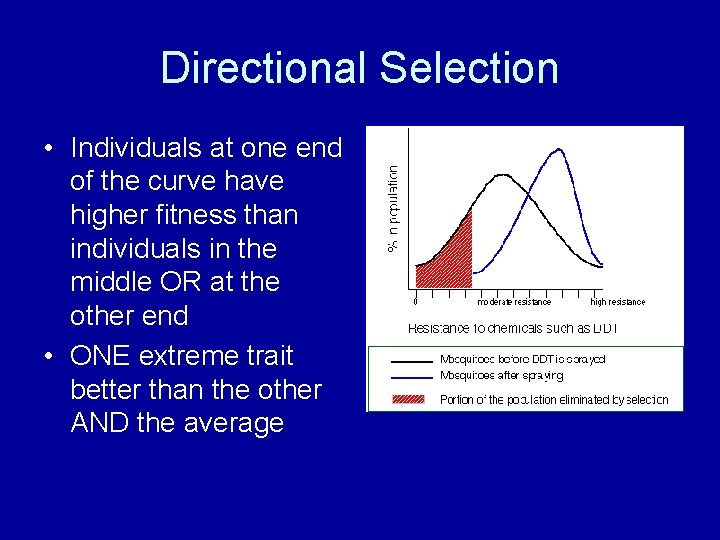 Directional Selection • Individuals at one end of the curve have higher fitness than