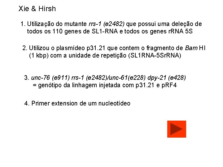 Xie & Hirsh 1. Utilização do mutante rrs-1 (e 2482) que possui uma deleção