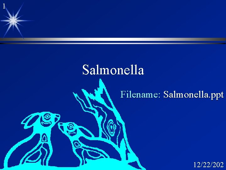 1 Salmonella Filename: Salmonella. ppt 12/22/202 