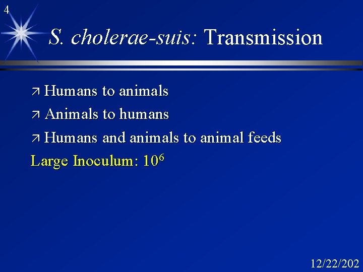 4 S. cholerae-suis: Transmission ä Humans to animals ä Animals to humans ä Humans