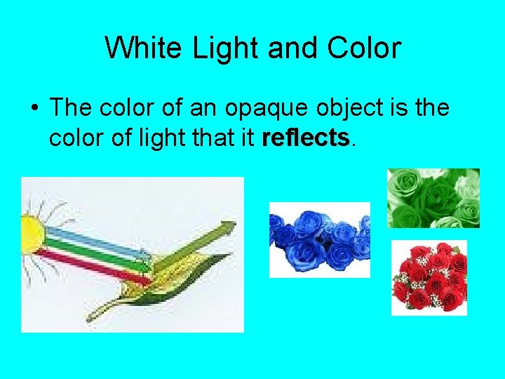 White Light and Color • The color of an opaque object is the color