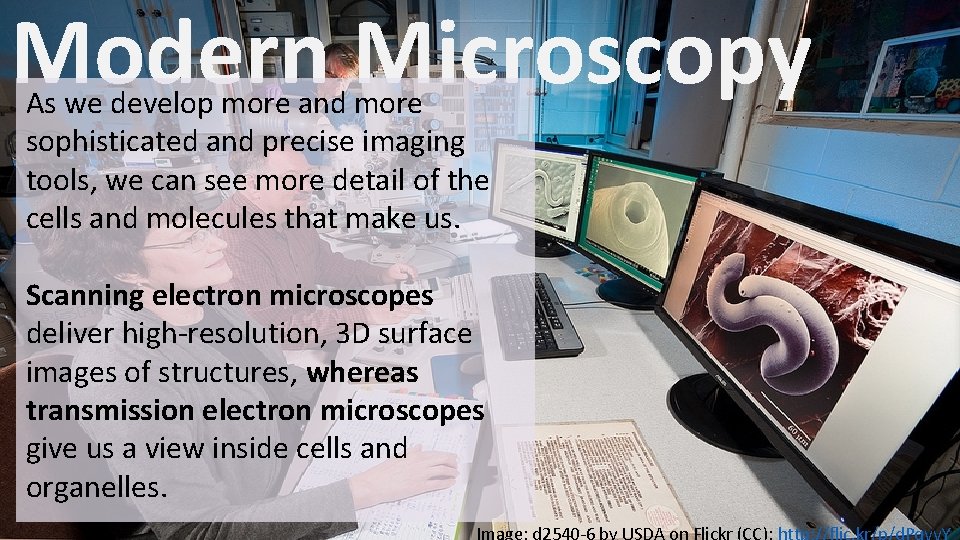 Modern Microscopy As we develop more and more sophisticated and precise imaging tools, we