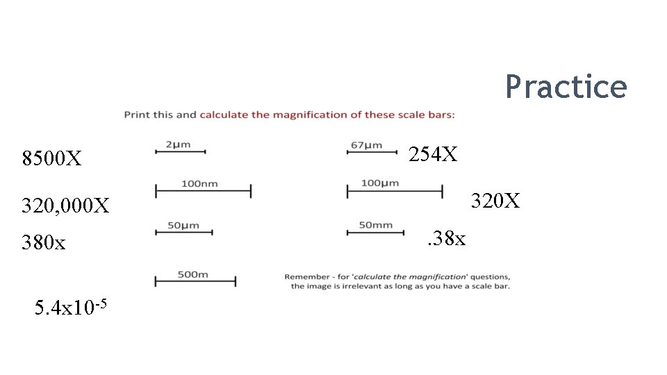 Practice 8500 X 254 X 320, 000 X 380 x 5. 4 x 10
