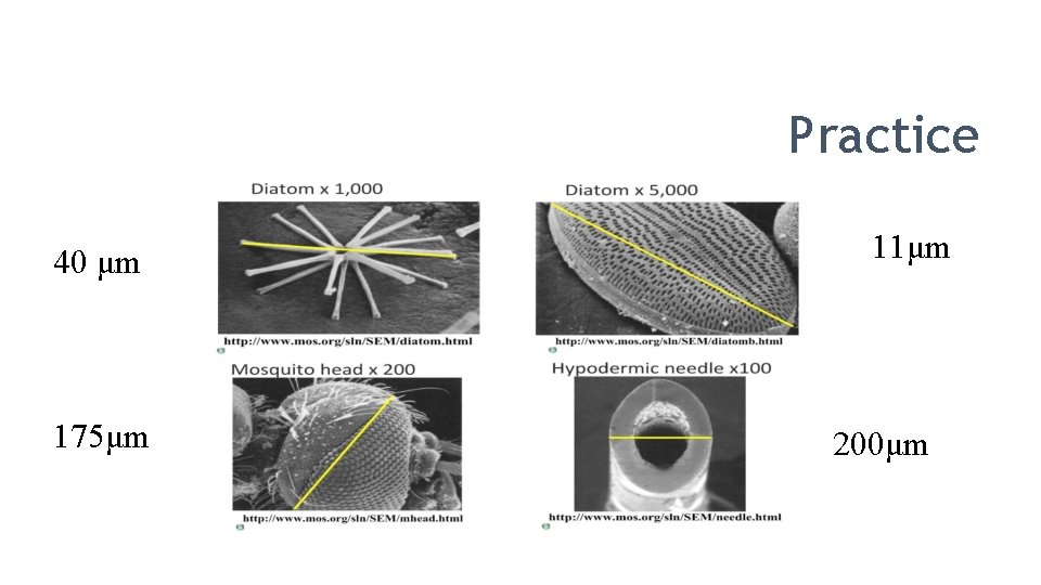 Practice 40 μm 175μm 11μm 200μm 