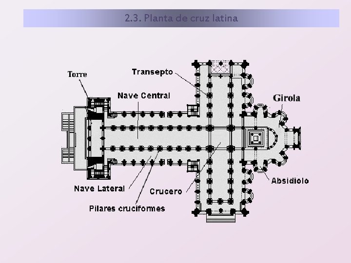 2. 3. Planta de cruz latina 