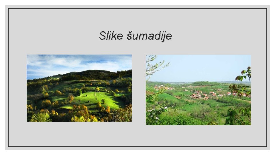 Slike šumadije 