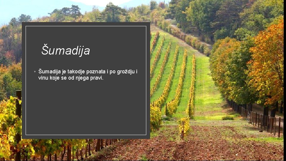 Šumadija ◦ Šumadija je takodje poznata i po groždju i vinu koje se od