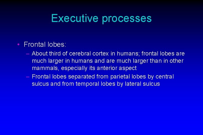 Executive processes • Frontal lobes: – About third of cerebral cortex in humans; frontal