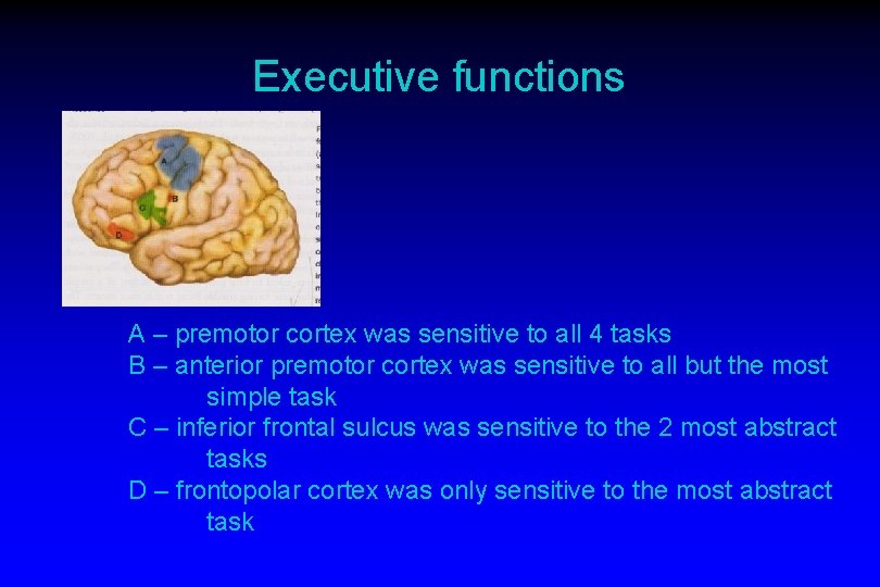 Executive functions A – premotor cortex was sensitive to all 4 tasks B –