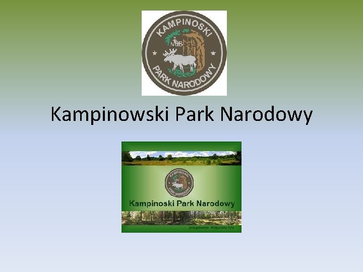 Kampinowski Park Narodowy 