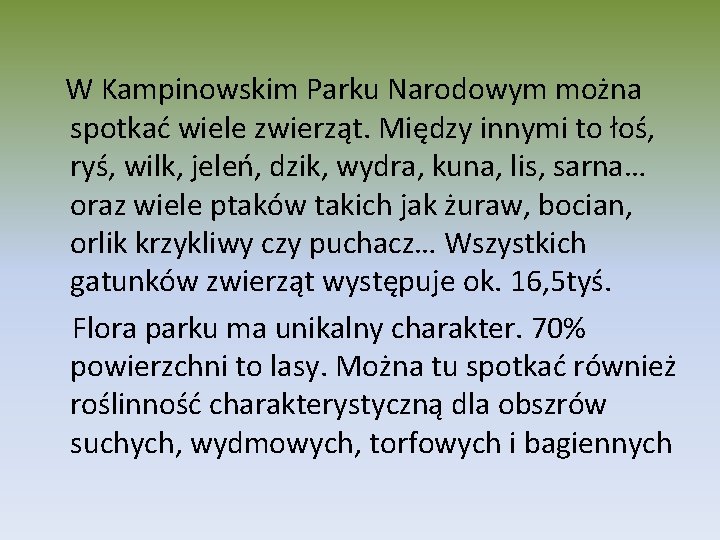 W Kampinowskim Parku Narodowym można spotkać wiele zwierząt. Między innymi to łoś, ryś, wilk,